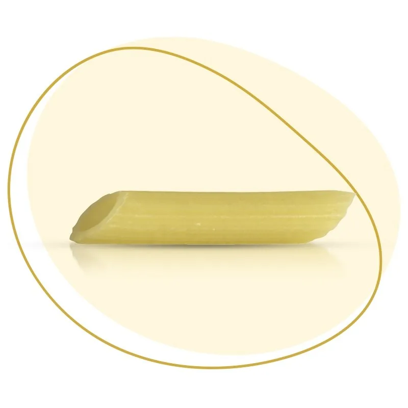 Penne Rigate n98 Fabianelli, prodotto DPF