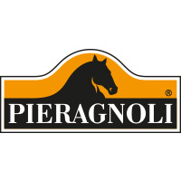 Logo Gruppo Pieragnoli